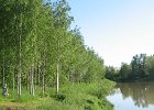 003_Metsä ym. kuvat